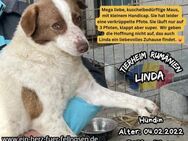 LINDA - junge Mama mit Zukunftsplänen - Waakirchen