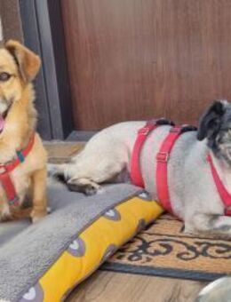 Cora & Jimmy 💔 Zwei Herzen - Kassel