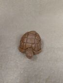 kleine  Figur Schildkröte in 01069