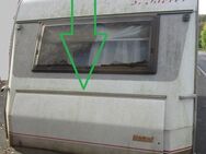Dethleffs Gaskastendeckel Wohnwagen 160 x 60 (ohne Schlüssel) NOMAD Sonderpreis - Schotten Zentrum