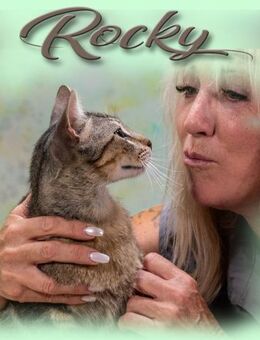 Rocky, ein lieber Stubentiger - Brunstorf