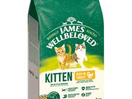 James Wellbeloved Kitten Hypoallergenic Truthahn & Reis - 1,5 kg