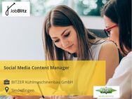 Social Media Content Manager - Sindelfingen