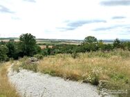 Weinberg mit Wochenendhäuschen und einzigartigem Ausblick in Bergsulza - Bad Sulza