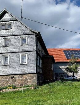 Pferdeliebhaber aufgepasst!!! Provisionsfrei: Reitplatz-Wiesen-Ortsrandlage - Feldatal