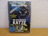 Film-DVD "Die schwarze Katze" - Bielefeld Brackwede