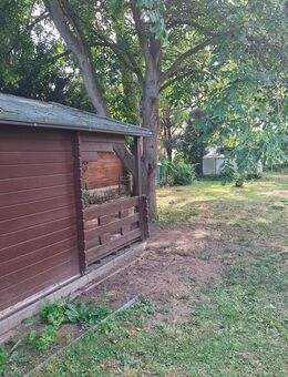 Für Gartenliebhaber - Sangerhausen