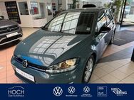 VW Golf, 1.5 TSI VII IQ DRIVE, Jahr 2019 - Gladenbach