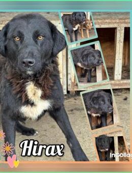 Hirax- endlich bald raus! - Nürnberg