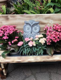 Blumenbank Gartenbank Dekoration - Datteln
