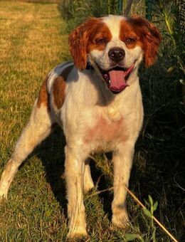 Sima sucht aktive Menschen - Müglitztal