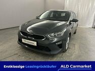 Kia Ceed SW 1.6 CRDi Eco-Dynamics+ (48V Mild-Hybrid) Vision Kombi, 5-türig, 6-Gang - Bad Fallingbostel