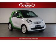 Smart ForTwo Passion EQ-Klimaanlage-Bluetooth-Temp-SHZ - Bebra