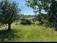 Garten-Grundstück zu verpachten | Wiese | Acker - Bad Frankenhausen (Kyffhäuser)