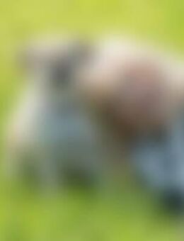 Alh*** - Schönau (Königssee)