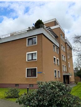 3-Zimmer Wohnung nahe der Weser - Hameln