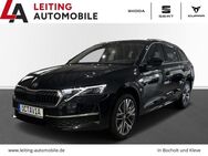 Skoda Octavia, 2.0 TDI COMBI EXCLUSIVE MEHRZONENKLIMA, Jahr 2024 - Bocholt