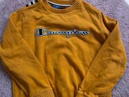 Champion Pullover - Troisdorf