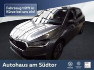 Skoda Fabia Ambition 1.0 TSI | LED RFK DAB+ - Rietberg