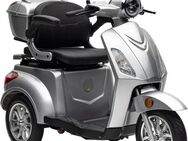 Nova Motors Elektromobil Bendi, 1200 W, 20 km/h, (mit 2 Akkupacks)