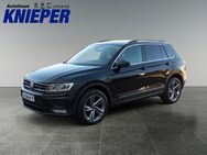 VW Tiguan, 2.0 TDI, Jahr 2017 - Zetel