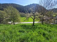 Baugrundstück in idyllischer Lage von Neubulach - Neubulach