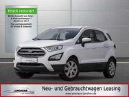 Ford EcoSport 1.0 Cool&Connect //Winterpaket/Klima - Thannhausen