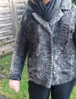 2 Pelzjacken (Persianer), je 60 Euro VHB - Lippstadt