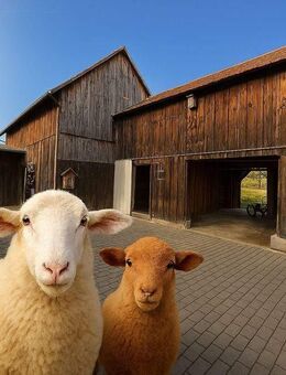 Idyllisch, ruhig, beinahe allein - Ein Anwesen für naturnahes und autarkes Leben - Kronach