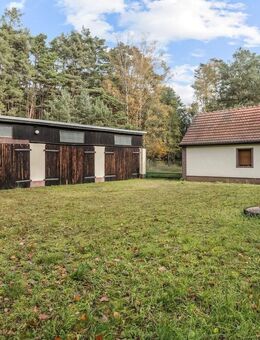 Gemütliches Kleinhaus mit viel Nebengelass und Pool auf großem Grundstück - Borkwalde