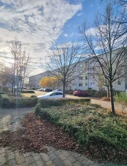PASEWALK 2-Zimmer-Wohnung mit Wanne und Balkon - Pasewalk