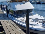 Motorschiff Phoenix SF Fly 10.50m x 3.20m 2x Cummings Diesel - Seevetal