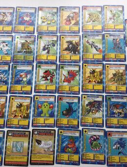 Digimon Vintage Sammelkarten Set Konvolut Sammlung - Fulda