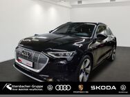 Audi e-tron, , Jahr 2019 - Grünstadt