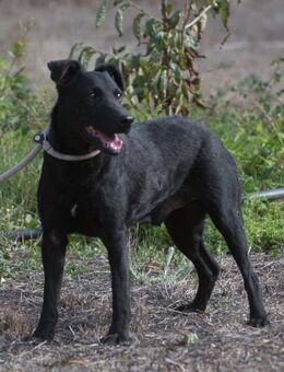 Matteus sucht Ihr Vertrauen - Brunstorf
