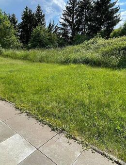 Idyllischer Wohntraum mit Terrasse und Schlafnische + kleine Küchenzeile - Chemnitz
