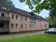 Hübsche 3-Raum-Wohnung mit Balkon in grüner Oase ! - Zwickau