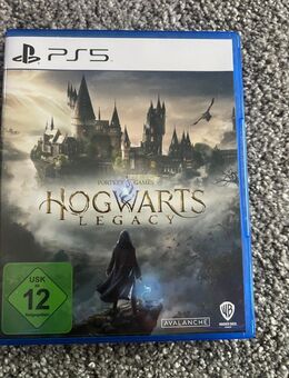 Hoogwarts Legacy PS5 - Woldert