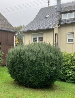 Charmantes, topgepflegtes Schmuckstück sucht neue Bewohner. - Helmbrechts