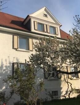 4.5 Zimmer OG Altbauwohnung am Fuße des Heilsberg in Gottmadingen - Gottmadingen