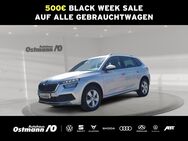 Skoda Kamiq, 1.5 TSI Ambition, Jahr 2021 - Bad Arolsen