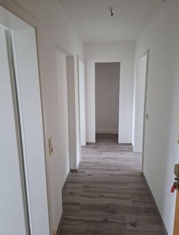 Neu renovierte 2 Raum-Wohnung im Erzgebirge - Hermsdorf (Erzgebirge)