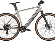 Adore E-Bike Urbanbike UBR-770, 8 Gang Shimano Altus Schaltwerk, Kettenschaltung, Heckmotor, 360 Wh, Pedelec, Elektrofahrrad für Damen u. Herren