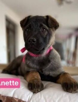 Anette - im Pappkarton vor der Tür - Berlin