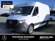 Mercedes Sprinter, 317 L2H2 MBUX Holzfußboden, Jahr 2023 - Heide