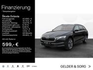 Skoda Octavia, 2.0 TDI Combi Tour ||||MFK|VZE|, Jahr 2022 - Coburg