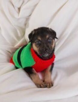 BOUNTY - na her mit dem Abenteuer - Overath