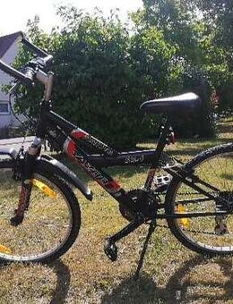 Kinderfahrrad 20 Zoll - Heidenheim (Brenz)