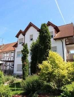 Hermann Immobilien: 2 Häuser auf 2725 qm Grundstück +Scheune+Halle in Neuberg-Ravolzhausen - Neuberg