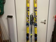 Tiecno pro Salamon Sicherheitsbindung Ski 1,95 m, - Haar